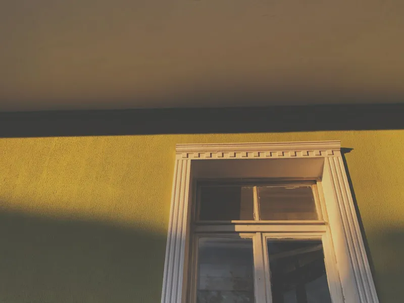 The Hidden Houseguest That's Wrecking Your Health Goals: What Mold Is Doing Inside Your Body
